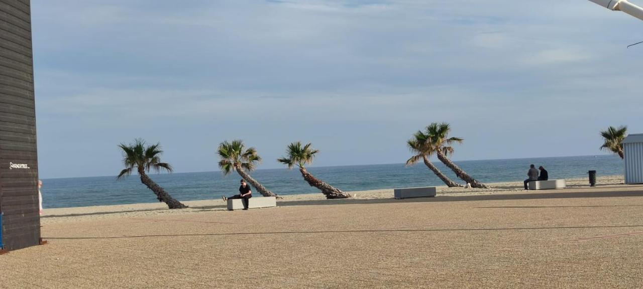 Studio De 23 M2 Avec Jardinet 400M De La Plage Le Barcarès Zewnętrze zdjęcie